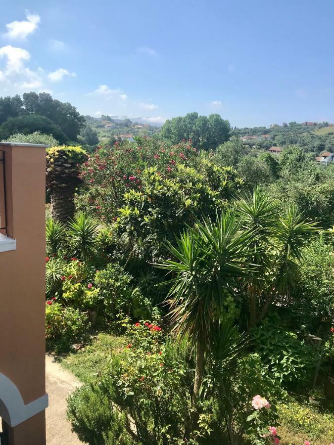 Floros Apartments Agios Stefanos Avliotes  Zewnętrze zdjęcie