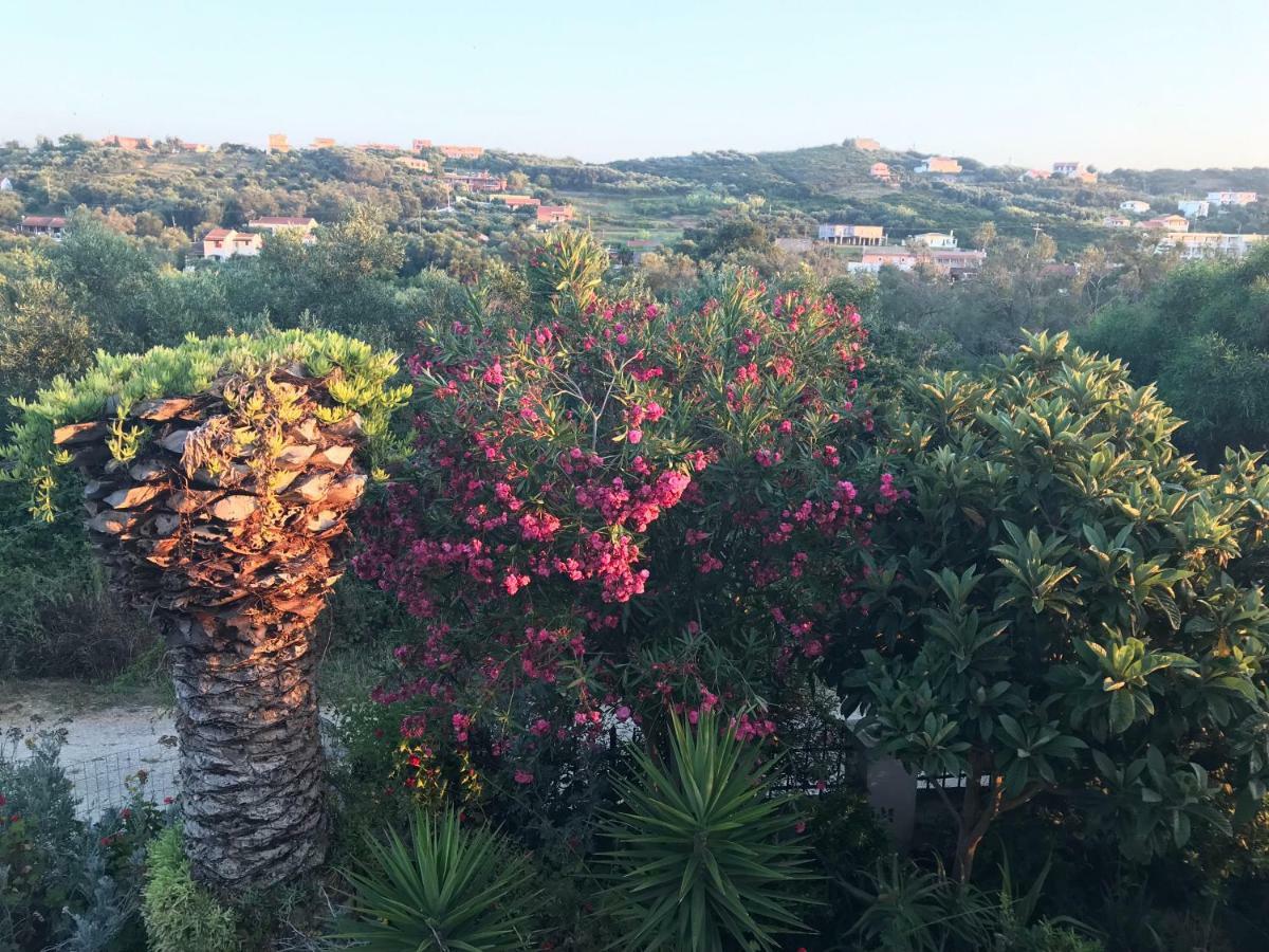 Floros Apartments Agios Stefanos Avliotes  Zewnętrze zdjęcie